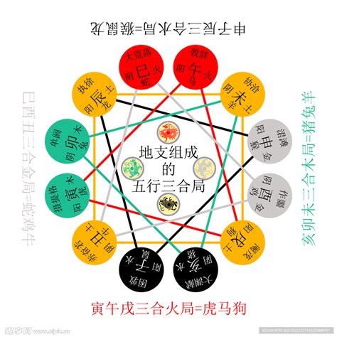 地支 合|地支相合